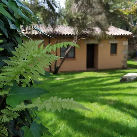 Apartamento El Calambuco Villanueva De La Vera