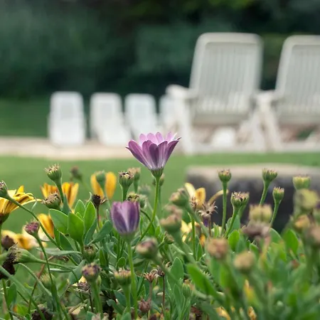 El Calambuco Διαμέρισμα