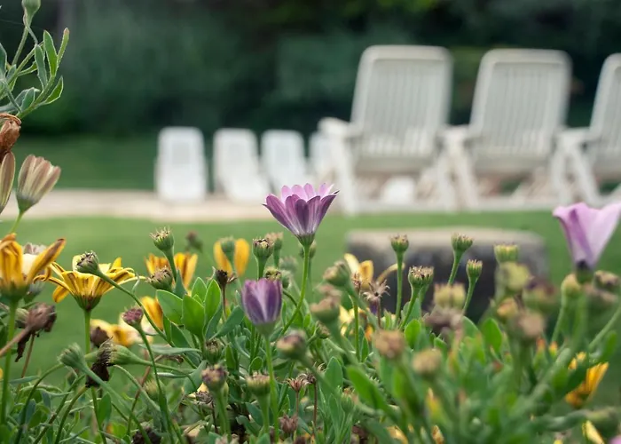 El Calambuco Appartement